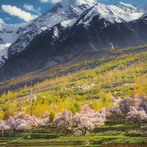 listing-details-carousel